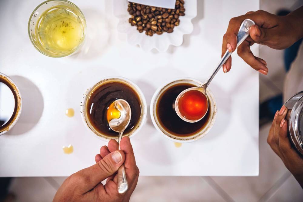 Les deux espèces  de caféiers majoritairement cultivées restent l'Arabica et le Robusta