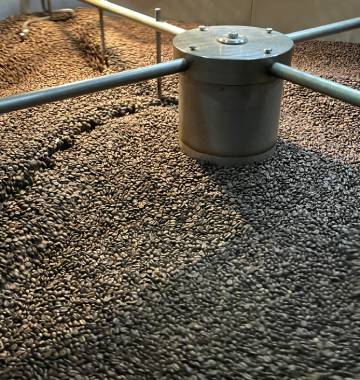 Torréfaction - Café Joyeux